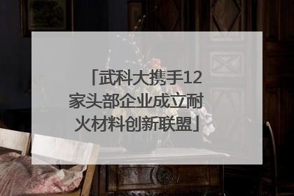 武科大携手12家头部企业成立耐火材料创新联盟